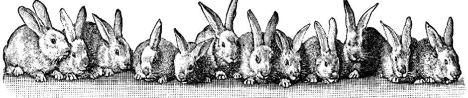 vintage-bunny-clipart-20